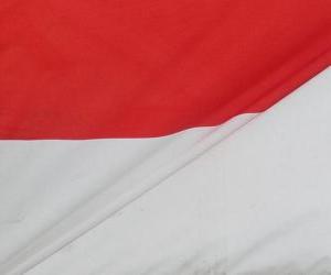 yapboz Endonezya bayrağı